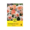 Tulpen & Narzissen 'Sunset Mischung' Zwiebeln 2 Tulpen & Narzissen 'Sunset Mischung' Zwiebeln -Saemereien tulpen narzissen sunset mischung tulipa narcissus zwiebeln