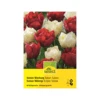 Tulpe 'Swisse Mischung' Zwiebeln -Saemereien tulpen swiss mischung tulipa zwiebeln