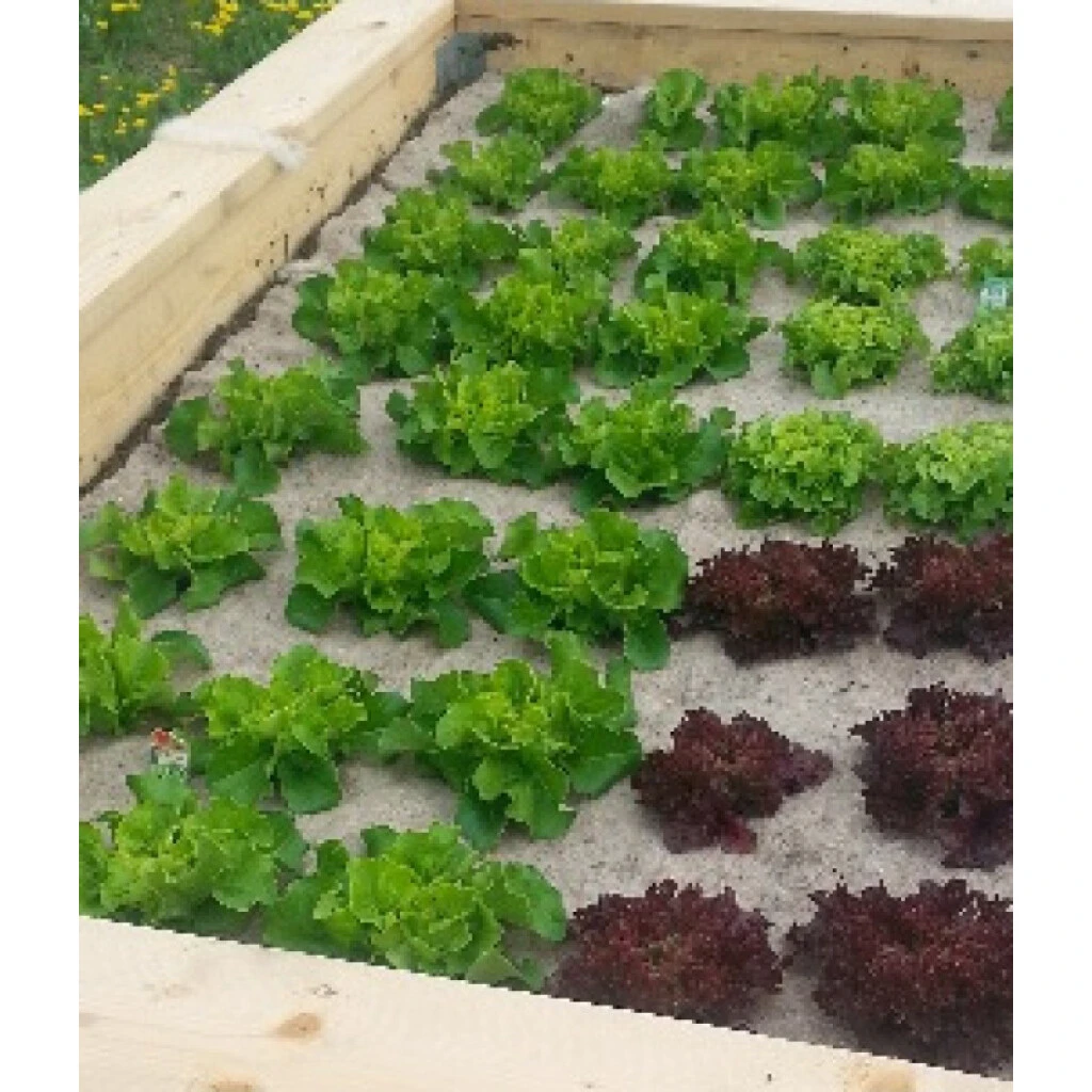 Unkrautschutzmatte Grau 3 Unkrautschutzmatte Grau