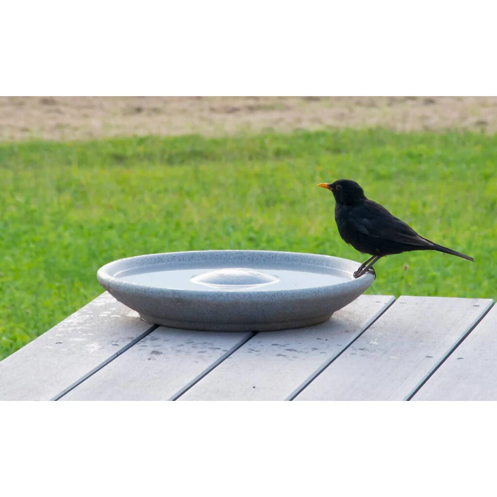 Vogeltränke 3 Vogeltränke