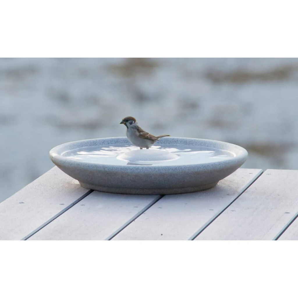 Vogeltränke 4 Vogeltränke – Bild 2