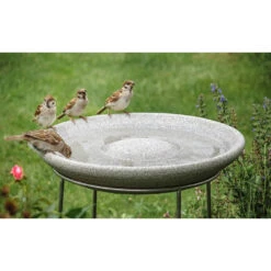 Vogeltränke 10 Vogeltränke -Saemereien vogeltraenke aus granicium4