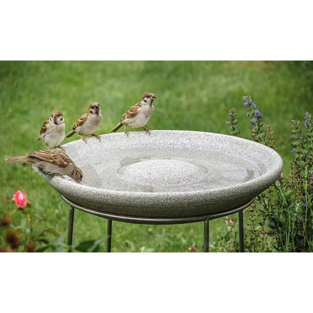 Vogeltränke 6 Vogeltränke – Bild 4