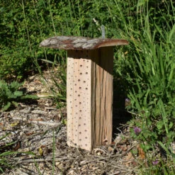 Wildbienen-Pfahl 'kleiner Hans' -Saemereien wildbienen pfahl kleiner hans2