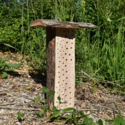 Wildbienen-Pfahl 'kleiner Hans' -Saemereien wildbienen pfahl kleiner hans3