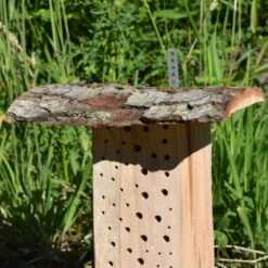 Wildbienen-Pfahl 'kleiner Hans' -Saemereien wildbienen pfahl kleiner hans4