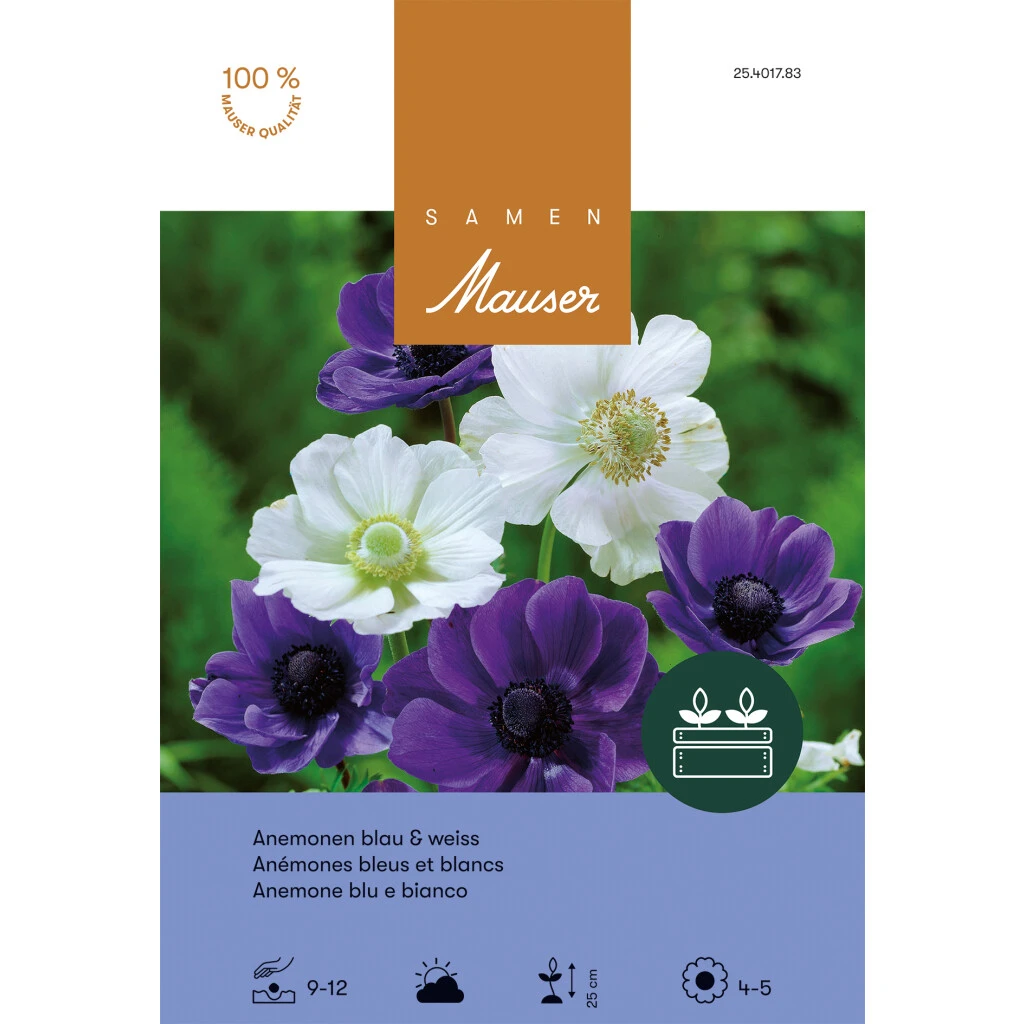 Windröschen Mischung Blue & White Knollen 3 Windröschen Mischung Blue & White Knollen