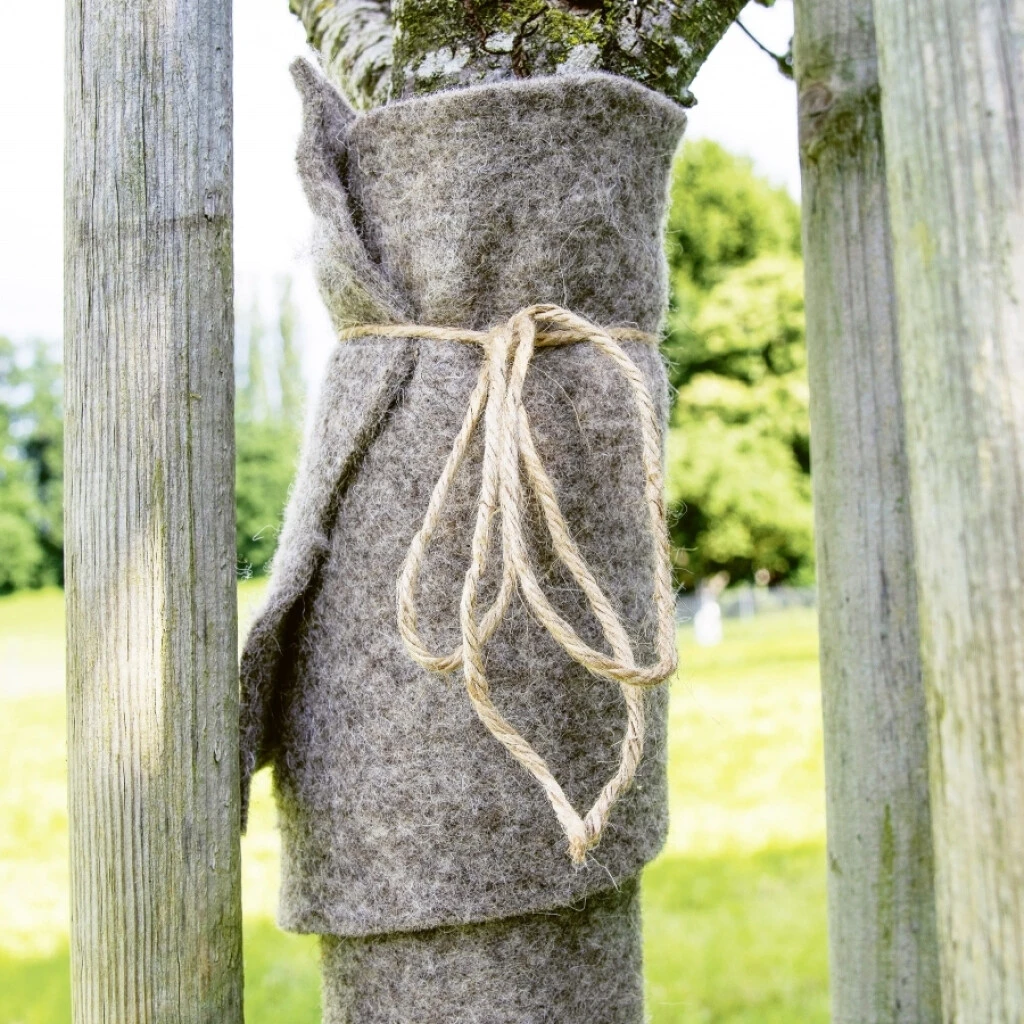 Wintervlies Für Stammschutz 20 X 300 Cm 3 Wintervlies Für Stammschutz 20 X 300 Cm