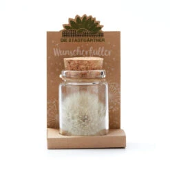 Wunscherfüller Mit Pusteblume