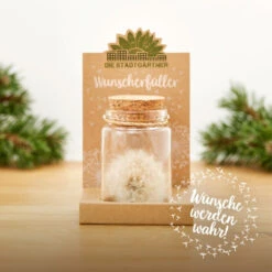 Wunscherfüller Mit Pusteblume -Saemereien wunscherfueller mit pusteblume4