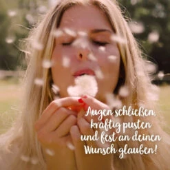 Wunscherfüller Mit Pusteblume -Saemereien wunscherfueller mit pusteblume5