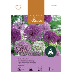 Zierlauch Mischung 'Big Head' Zwiebeln