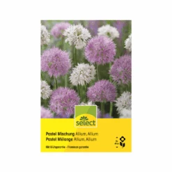 Zierlauch 'Pastel Mischung' Zwiebeln