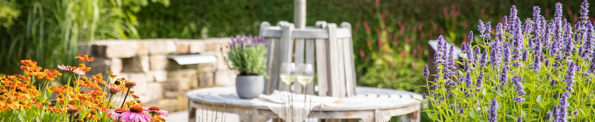 Saemereien -Saemereien DTGTR